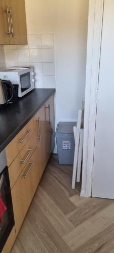 a kitchen with a microwave and a counter top at Mornington Place in London
