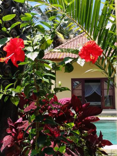 a group of red flowers in front of a house at TAMAN EDEN COTTAGE in Ubud