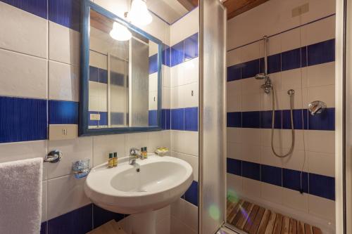 a bathroom with a sink and a shower at Agriturismo I Bonsi in Reggello