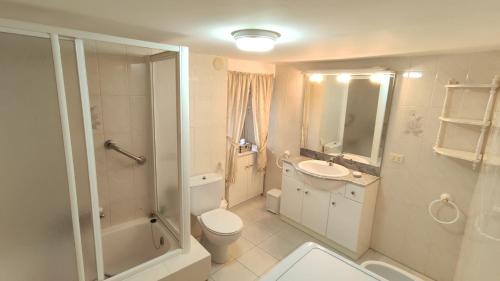 La salle de bains est pourvue de toilettes, d'un lavabo et d'une douche. dans l'établissement A casa do teléfono, à Pumares
