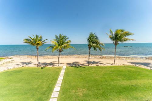 a path to the beach with palm trees and the ocean at Holiday Inn Resort Grand Cayman by IHG in George Town