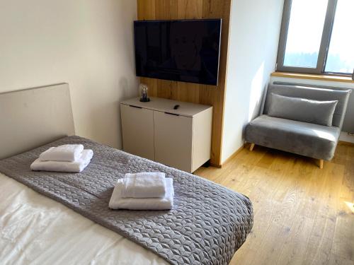 um quarto com uma cama, uma cadeira e uma televisão em Palace 404 em Spindleruv Mlyn
