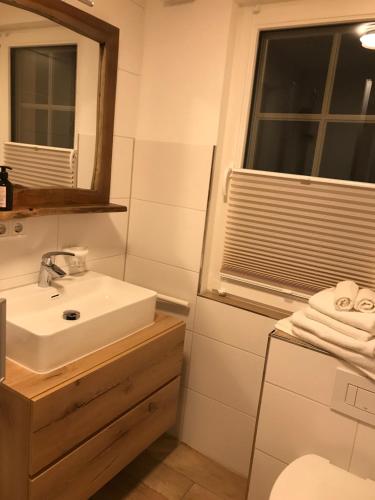baño con lavabo, espejo y ventana en Neue Unterkunft mit Kamin im Erzgebirge - SZB, en Neuanbau