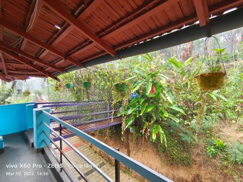 Coorg Rain Drop Farm Stay – Photos 3