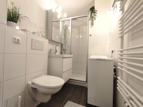 a white bathroom with a toilet and a shower at Ferienwohnung am Deich in Friedrichskoog