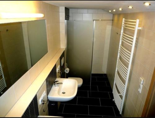 a bathroom with a sink and a shower and a toilet at guesthouse Elbsandstein Appartement Lilienstein in Rathmannsdorf