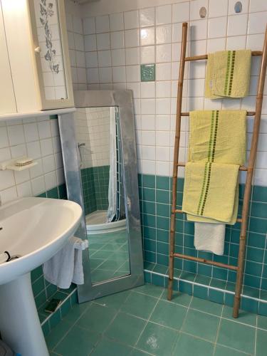 une salle de bain avec un lavabo et une douche avec un miroir dans l'établissement LUMINEUX 2 PIECES, TERRASSE, GARAGE PRIVE, en BORD DE MER, à Villeneuve-Loubet