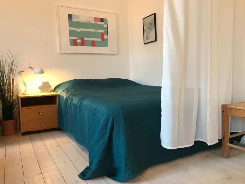 Bohemian and light one room apartment in SoFo 31sqm Image