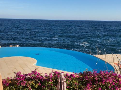 Piscina a La Rose Rouge o a prop