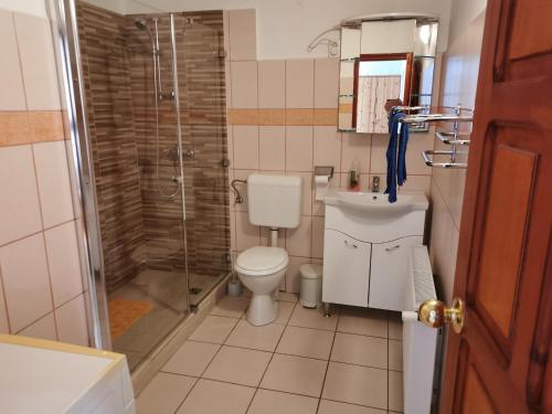 La salle de bains est pourvue d'une douche, de toilettes et d'un lavabo. dans l'établissement Veress Vendégház, à Hajdúböszörmény