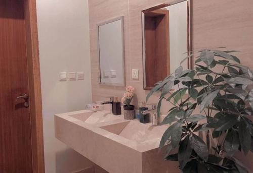 a bathroom sink with a plant in front of a mirror at Sunset Alula Villa- العلا in Ar Riḩāb