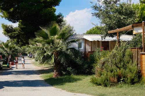 uma casa com uma palmeira e pessoas andando por uma rua em MOBIL-HOME NEUF 2021 3CH 34 M2 em Saint-Cyprien