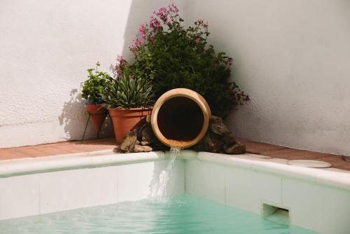 a pool of water with some plants and flowers at CASA RURAL LA LIBERTAD in Monesterio