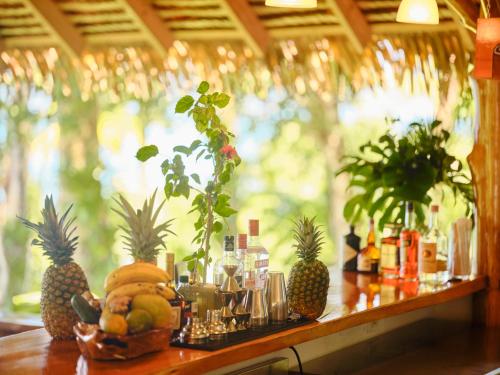 a counter with fruits and plants on it at Copa De Arbol Beach & Rainforest Resort in Drake