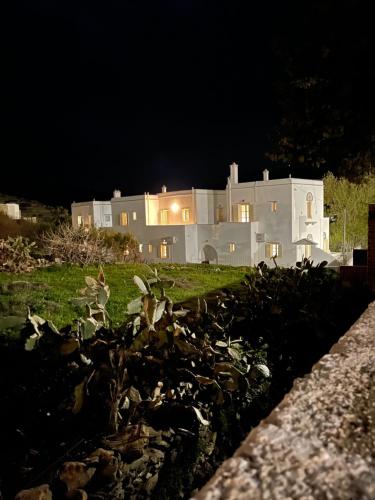 Κήπος έξω από το Amedi Villas Tinos