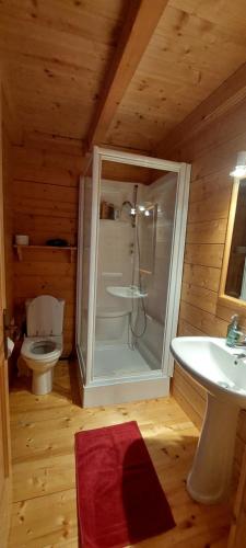 a bathroom with a shower and a toilet and a sink at Chambre d'hôtes L'ours Bleu in Les Diablerets