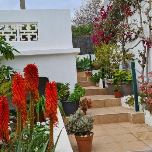 a garden with flowers and plants in pots at Villa Marrachinho in Albufeira