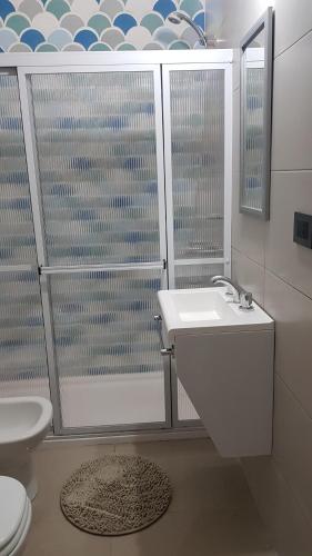 a bathroom with a shower and a sink and a toilet at Patagonia Apart Dpto 3 in Paraná