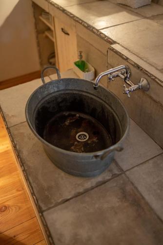 a kitchen sink with a faucet on a counter at Country House Trata in Kranjska Gora