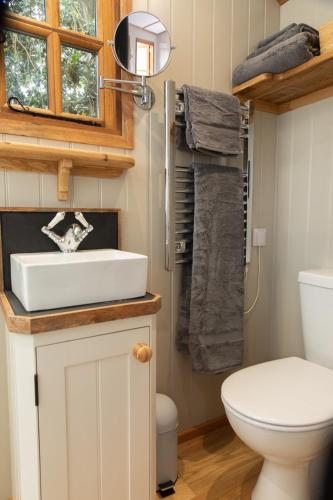 a bathroom with a sink and a toilet at Luxury, rural Shepherds Hut with hot tub nr Bath in Bristol