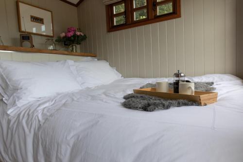 Luxury, rural Shepherds Hut with hot tub nr Bath photo 19