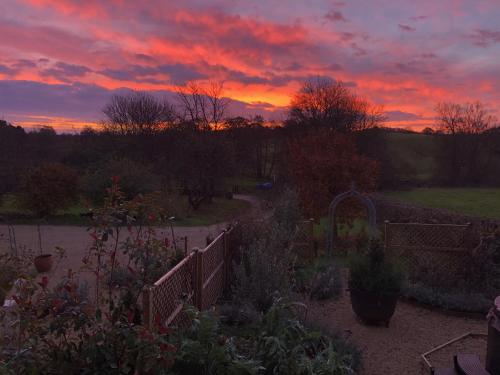 Luxury, rural Shepherds Hut with hot tub nr Bath photo 27