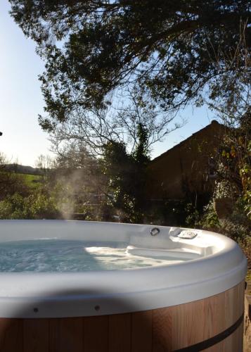 Loft Apartment nr Bath & Bristol with hot tub photo 15