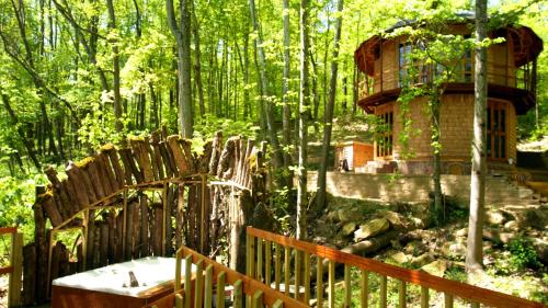 una casa en el árbol en medio de un bosque en Lost River Hostel en French Lick