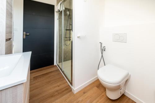 a bathroom with a toilet and a shower at DOWNTOWN LOFT - CENTRE VILLE - WiFi - NETFLIX in Amiens