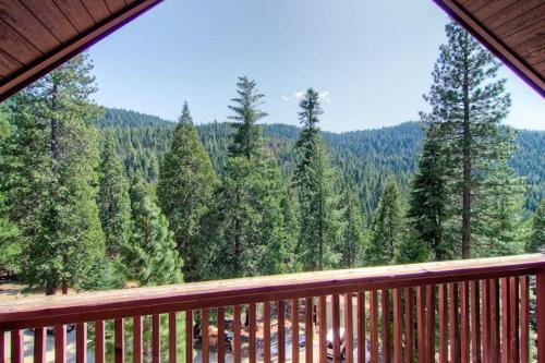 a view of a forest of trees from a deck at Edelweiss in Yosemite West