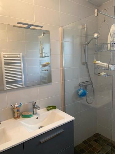 une salle de bain avec un lavabo et une douche dans l'établissement Cool Landes, à Sainte-Eulalie-en-Born