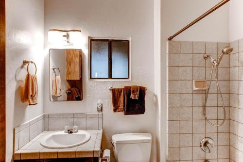 a bathroom with a sink and a toilet and a shower at Yosemite's Creekside Birdhouse in Wawona