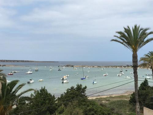 um grupo de barcos na água em uma praia em Ponent Formentera em La Savina