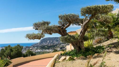 Villa Aguila - Calp