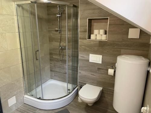 a bathroom with a shower and a toilet at Apartma Lilija Golte in Mozirje