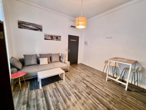 Les Saules Studio Wifi Clim Gare Centre