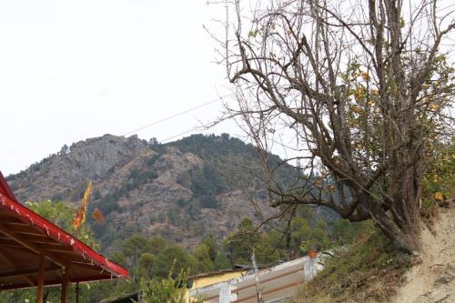 a tree on a hill with a mountain in the background at Saanidhya Sunset View Villa in Mukteswar