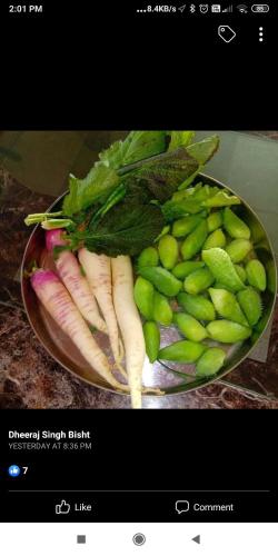 a plate of vegetables and beans on a counter at Saanidhya Sunset View Villa in Mukteswar