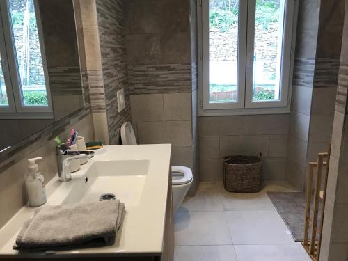 une salle de bain avec un lavabo et des toilettes et des fenêtres dans l'établissement Maison de maître Ortiporiu, à Ortiporio