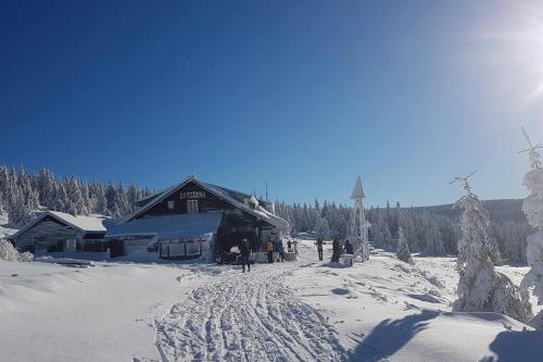 a group of people standing outside a ski lodge in the snow at Velký apartmán Sophia (s infrasaunou) č. 1 in Velké Losiny