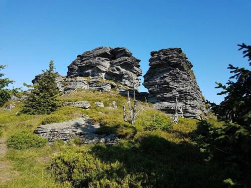 a large rock formation on a grassy hill at Velký apartmán Sophia (s infrasaunou) č. 1 in Velké Losiny