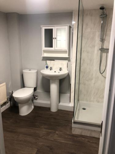 a bathroom with a toilet and a sink and a shower at Wesley Rooms Annexe in Ironbridge