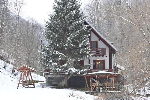 Casa de vacanta Satic Piatra Craiului La Doi viermi semasa musim sejuk