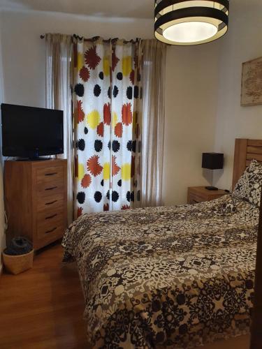 1 dormitorio con cama, TV y cortina en CAMPANUCA, en Unquera