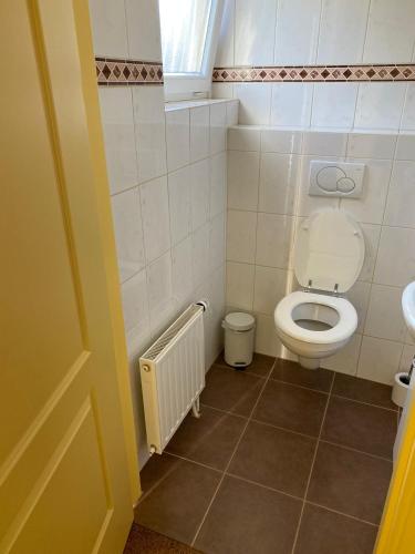 a small bathroom with a toilet and a sink at de Zandput 46 in Zoutelande