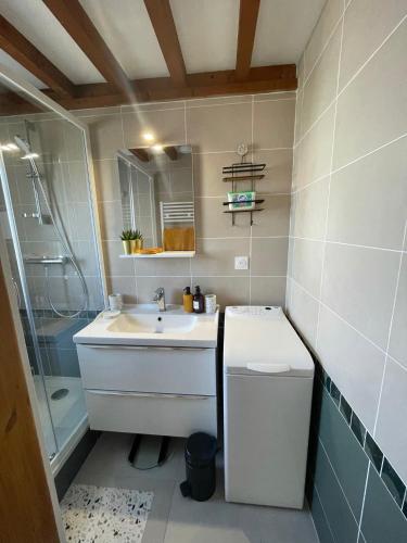 une salle de bain avec un lavabo, une douche et des toilettes dans l'établissement ROAZHON LODGE, à Montgermont