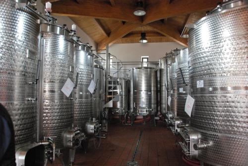 a row of wine barrels in a wine cellar at Agriturismo Sant' Antonio di Saturnia in Manciano