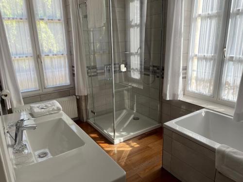 a bathroom with a shower and a sink and a tub at the Parc Place in Sarlat-la-Canéda