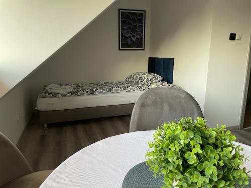 Katil atau katil-katil dalam bilik di Apartamenty i Pokoje DIMAN