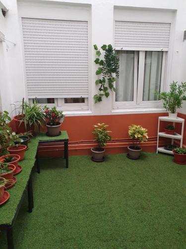 a room with potted plants on the floor and two windows at JÁNDALA in Unquera